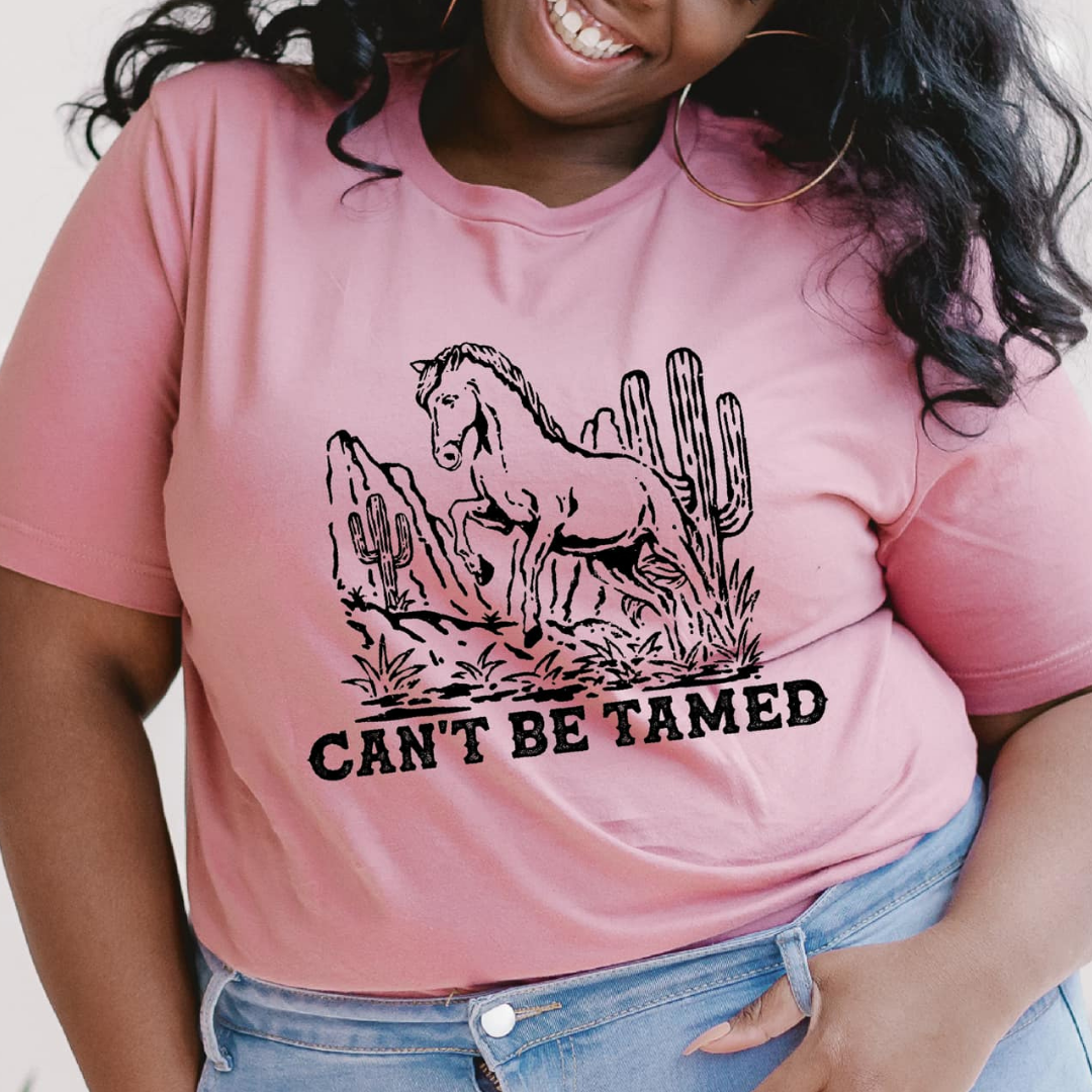 Can’t Be Tamed Horse