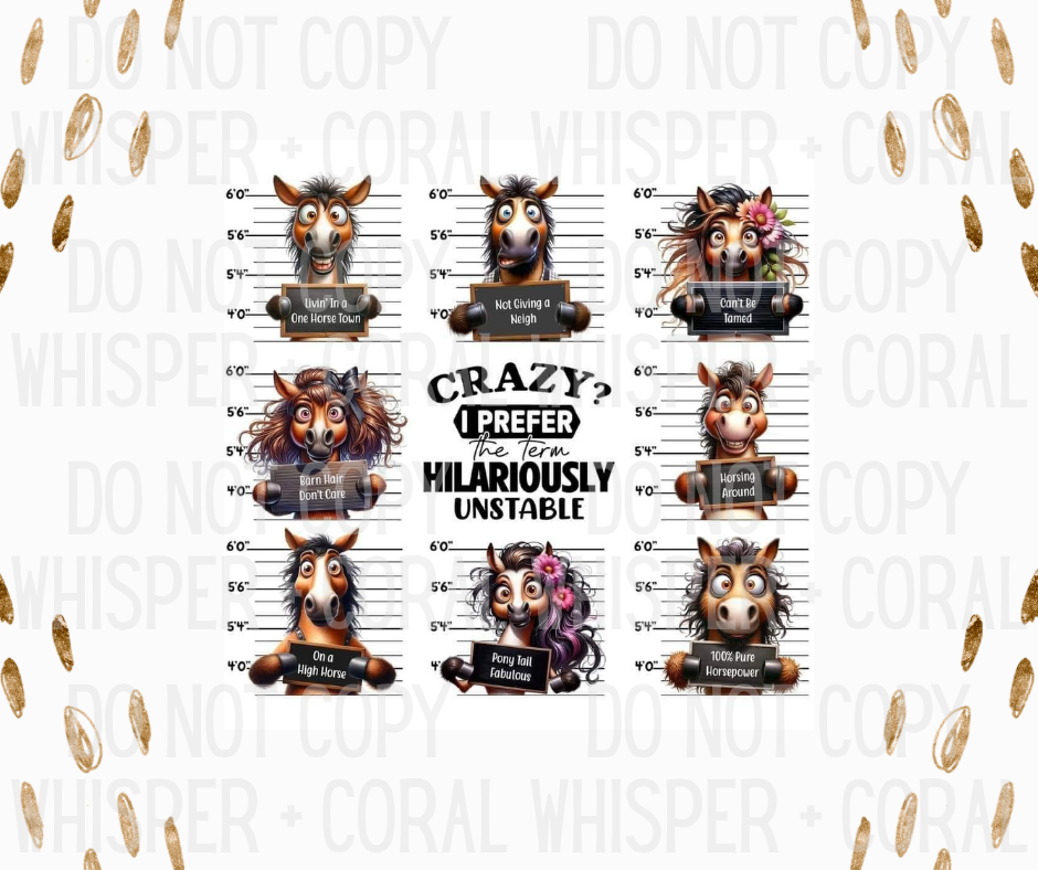 Decal #A-B42 Prefer The Term Hilariously Unstable