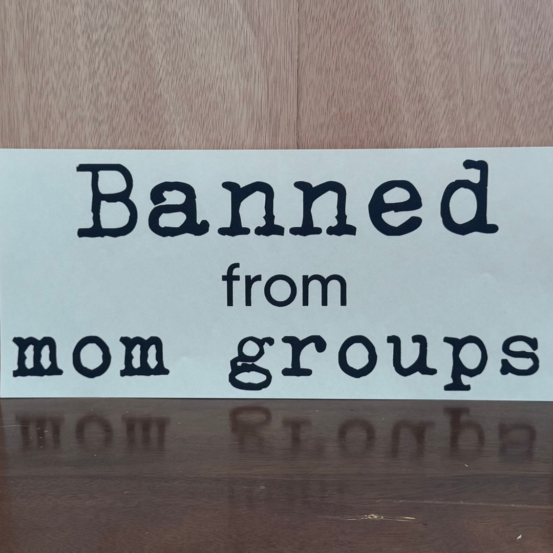 Banned From Mom Groups