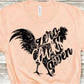Zero Clucks Given