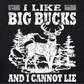 I Like Big Bucks