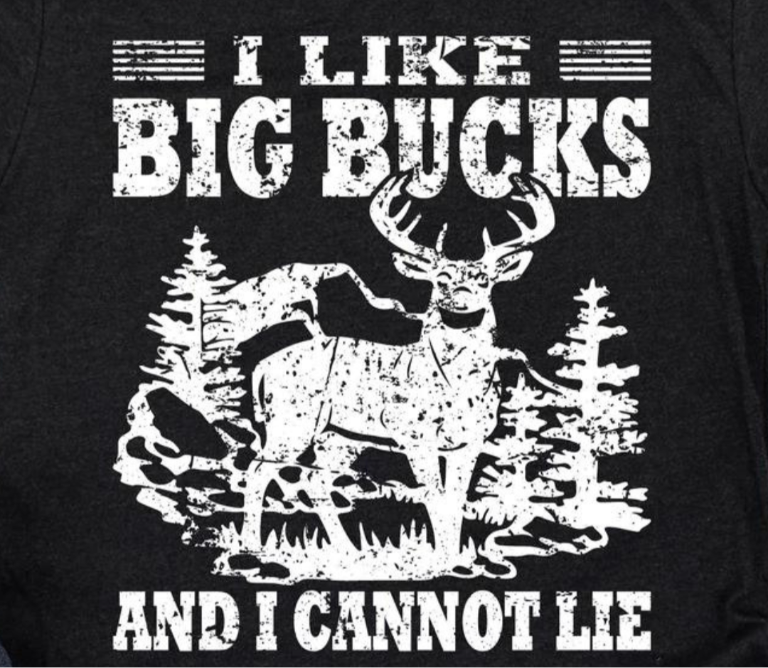 I Like Big Bucks