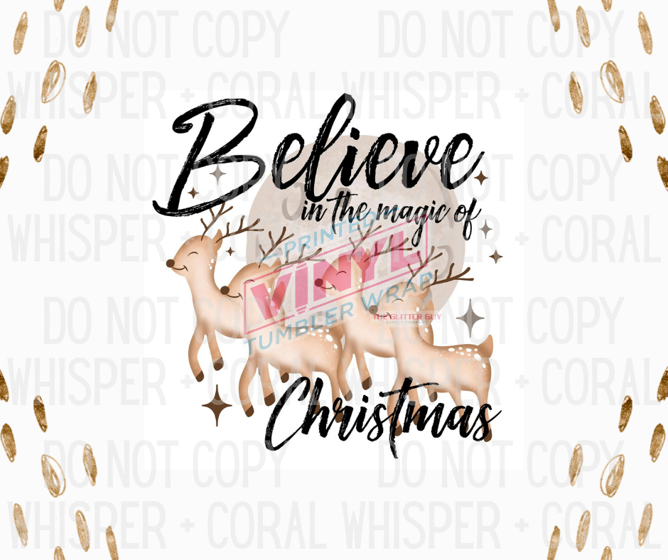 Decal #1256 Believe In The Magic