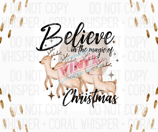 Decal #1256 Believe In The Magic