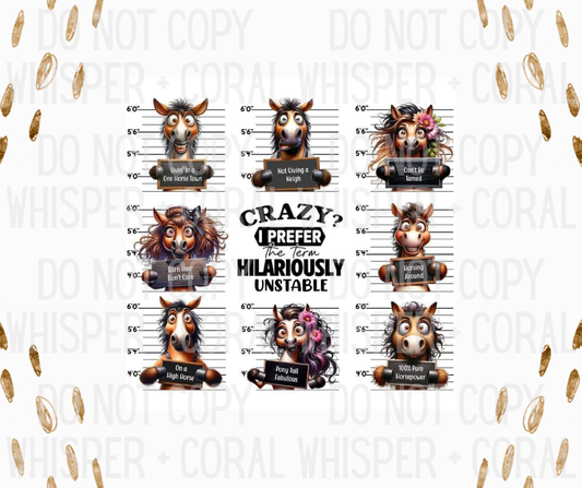 Decal #A-B42 Prefer The Term Hilariously Unstable