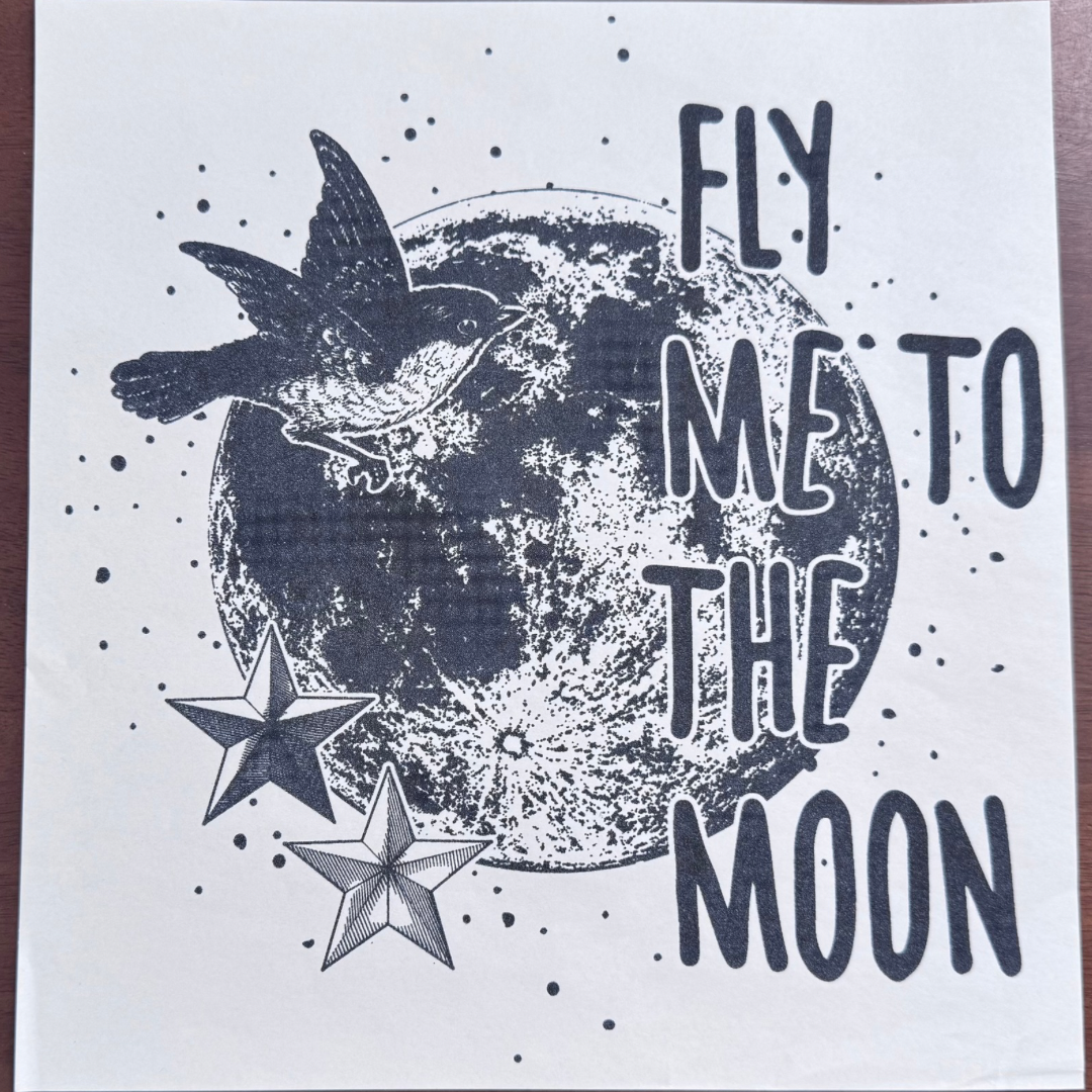 Fly Me To The Moon