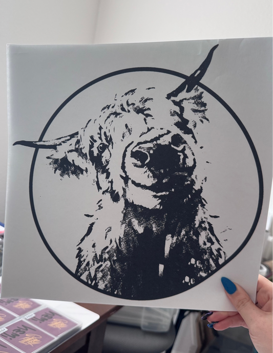 Hairy Cow