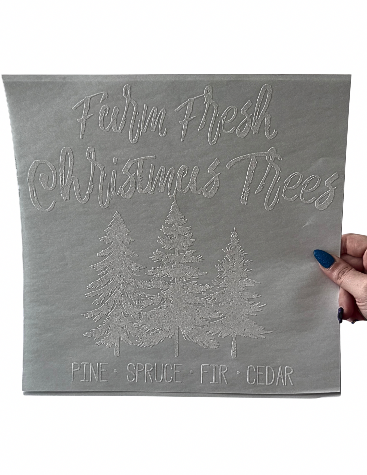 Farm Fresh Christmas Trees